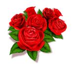 康复护理姐妹Show