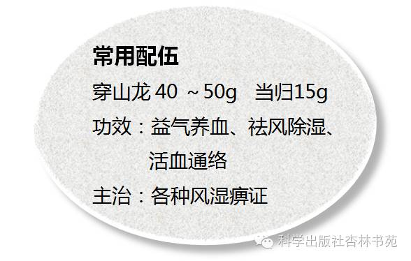 朱良春发掘民间中医,穿山龙朱良春