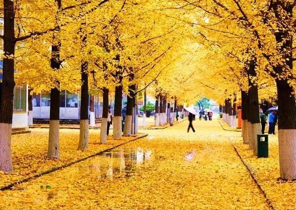 郑州冬日攻略,郑州夏天必做的十件事