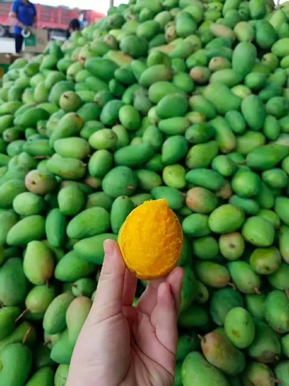 果园免费试吃大全,2019果园免费试吃