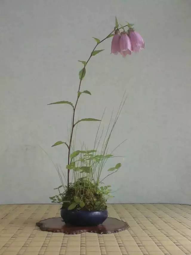 一花一世界一草一天堂一叶一菩提,一花一世界一草一天堂歌曲