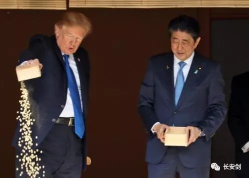 法治新闻最新信息评析,法治新闻2020完整版