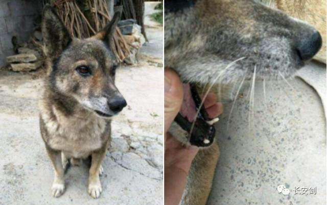 法治新闻最新信息评析,法治新闻2020完整版