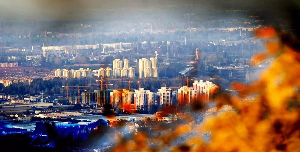 全体淮北人：赶紧来看她最后一眼，要不得再等一年！