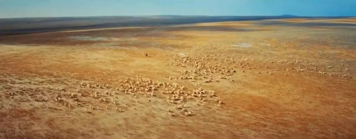 鬼吹灯之黄皮子坟20集完整免费看,鬼吹灯之黄皮子坟151080p