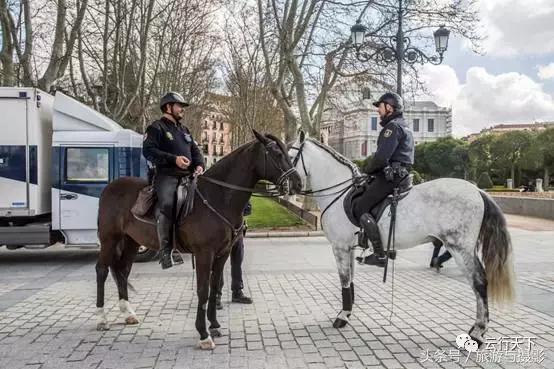 走马观城btc,走马观城完整版