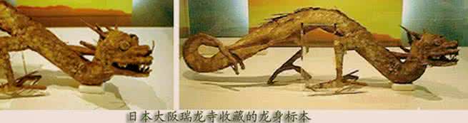 长江出现龙是真的吗,中国传说出现过的龙