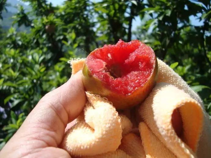 不是天生黑的被晒黑的怎么变白,如果不是天生黑是晒黑的该怎么办