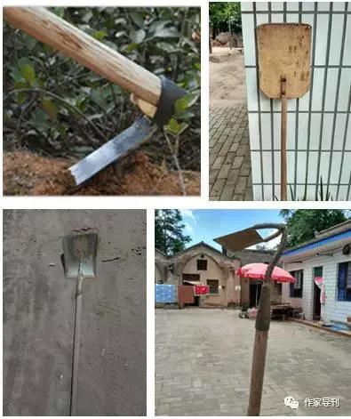 庆阳周祖农耕文化,庆阳周祖农耕文化图片