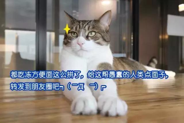 我把整个超市扔进了冷冻室，没想到还挺好吃