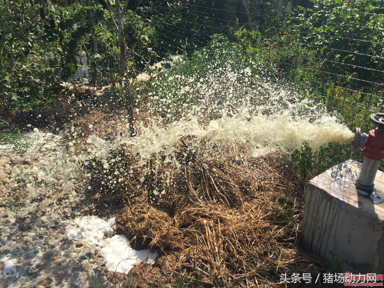 养猪环保不达标,关于南方北方农村养猪环保问题