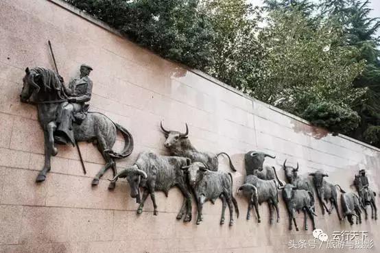 走马观市,走马观城完整版