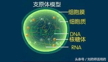 阿奇霉素治疗儿童支原体肺炎用量,阿奇霉素治疗支原体肺炎几天见效