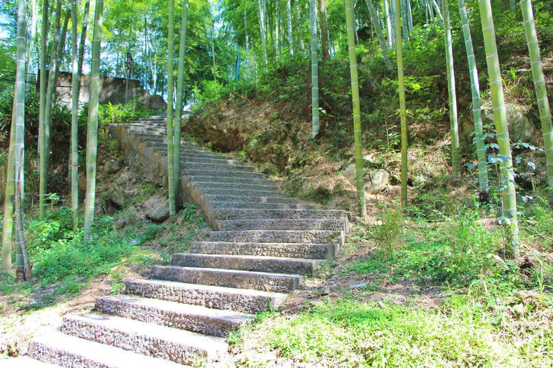 一场说走就走暑假旅行,一场说走就走的旅行来了