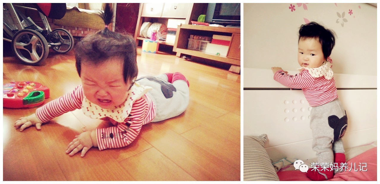 甭管虫子爬、小狗爬还是小熊爬,好歹您也爬一爬!爬行这一步绝对不容错过!