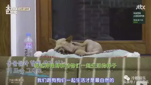 明星看李孝利,李孝利为什么退出娱乐圈