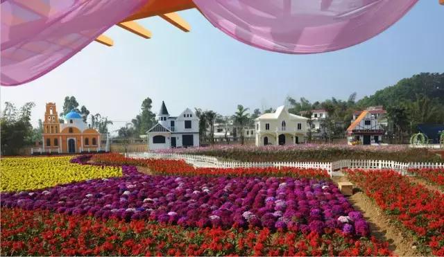 在最美的年纪留下美好的瞬间,在人生中最美的年华遇见最美的你