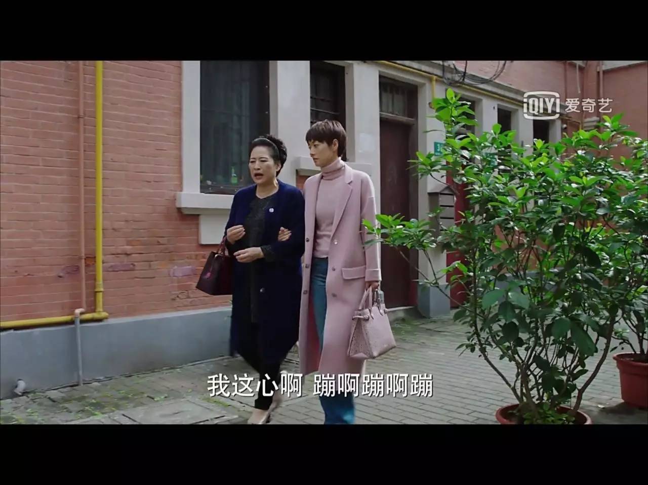 我的前半生子君和唐晶闹掰了吗,我的前半生子君