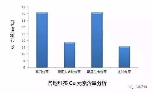 是谁造就的传世高香——“祁门香”