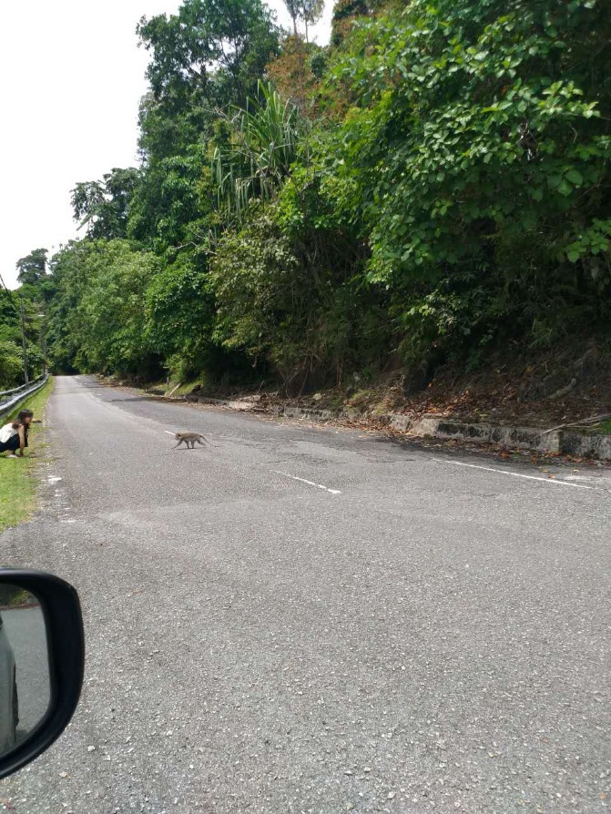 想走就走的旅行兰卡威六日游,兰卡威3天2晚的自由行攻略