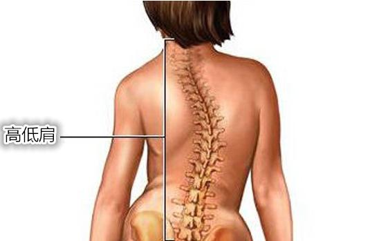 传说中背影杀手,传说背影杀手