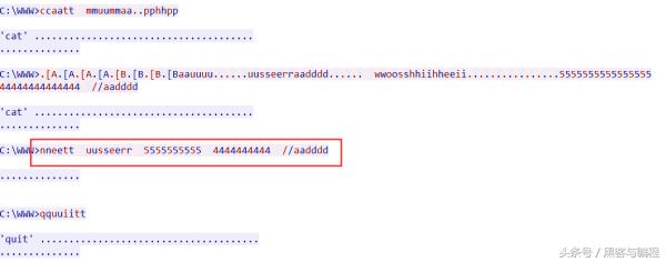 黑客webshell,webshell实战教程