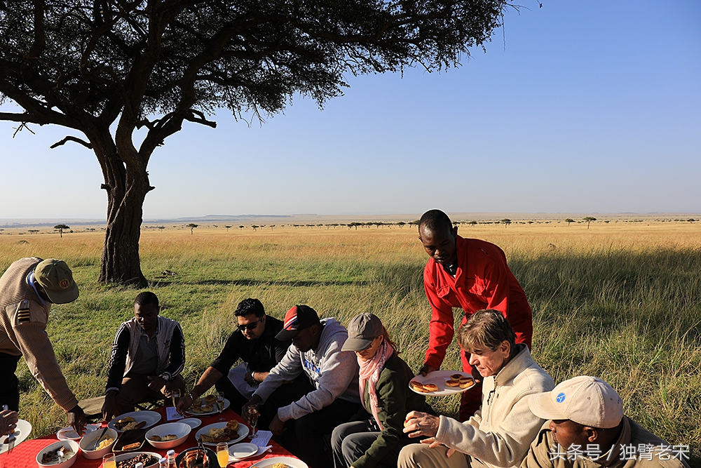 肯尼亚动物大迁徙旅游,肯尼亚迁徙之旅