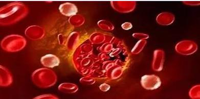 铁蛋白低可以吃中药调理吗,铁蛋白低需要补多久铁剂