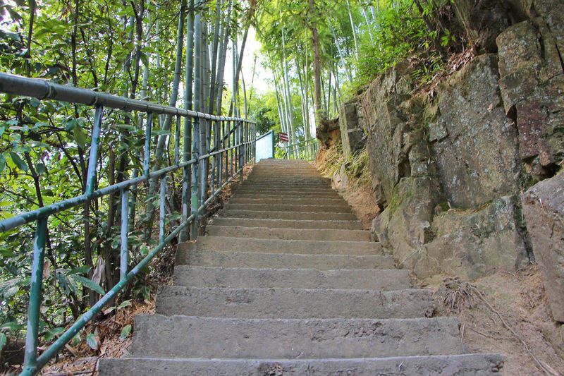 一场说走就走暑假旅行,一场说走就走的旅行来了