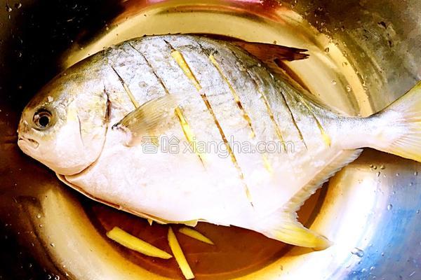 蒸白鲳鱼的家常做法视频,鲳鱼怎么清蒸用电磁炉蒸多久