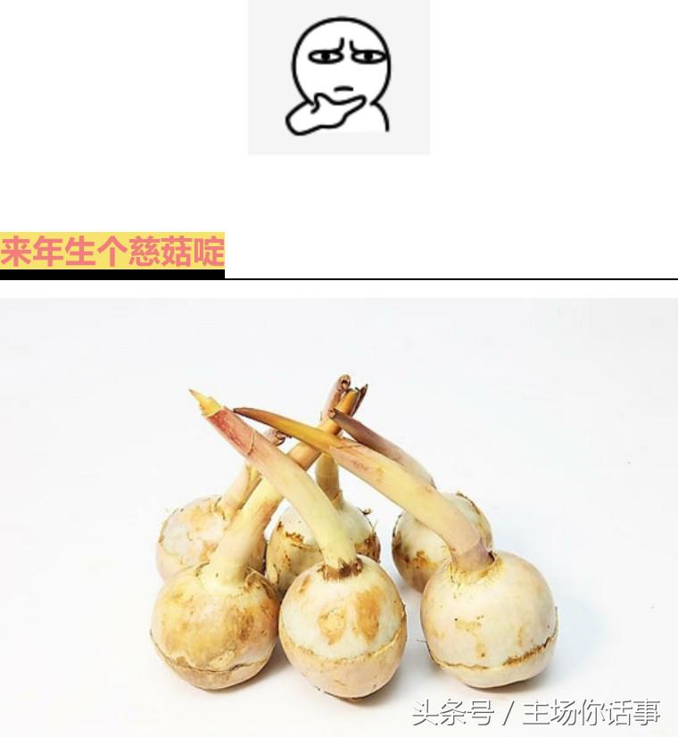 这一站才是｜大石（第一期）