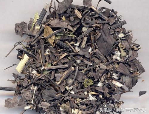 食管癌最怕的一种中药,白花蛇舌草治食道癌的偏方