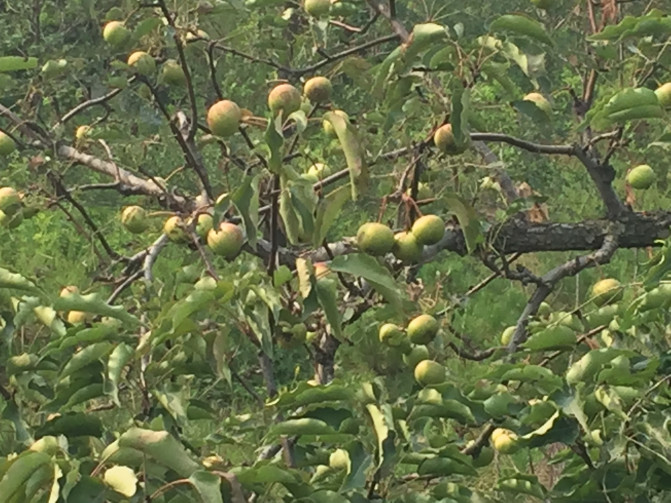 一场说走就走的环岛游,葫芦岛山海关自驾游