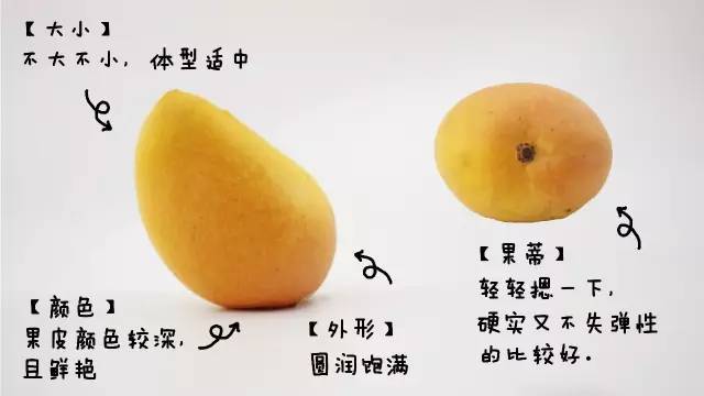 芒果怎么保藏时间久一点,芒果怎么泡发又脆又好吃