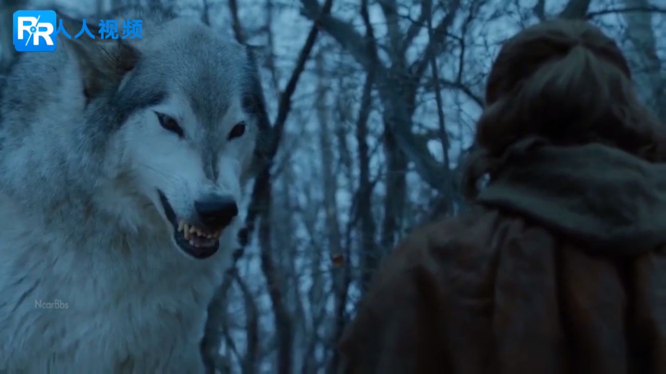 权力的游戏冰原狼是什么品种,权力的游戏史塔克一家都怎么死的