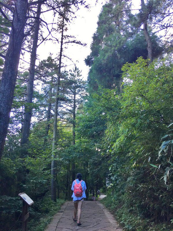 一场说走就走的夏日旅游,一场说走就走的山水旅游