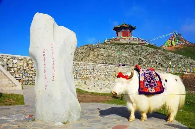 青海到苏州旅游攻略,苏州去青海最佳路线攻略