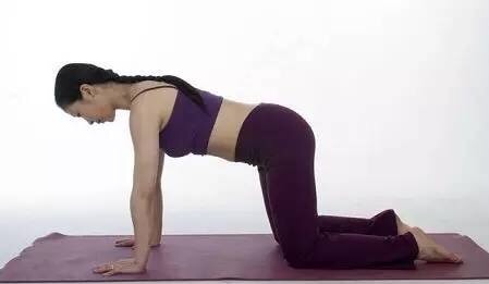 会阴收束法瑜伽体式的练习