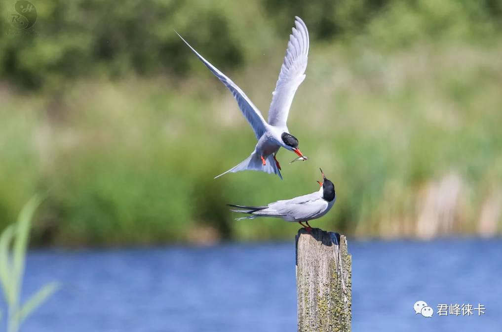摄影师快门多少合适,摄影师快速连拍
