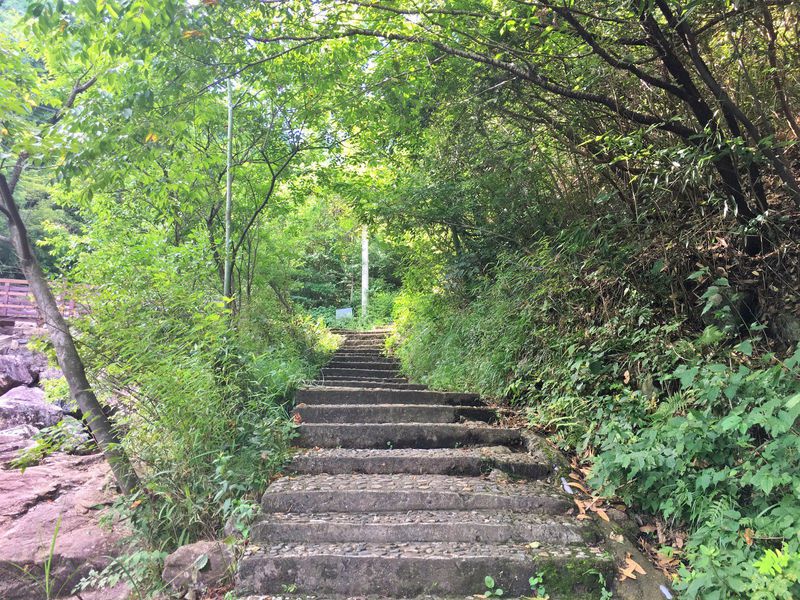 一场说走就走暑假旅行,一场说走就走的旅行来了