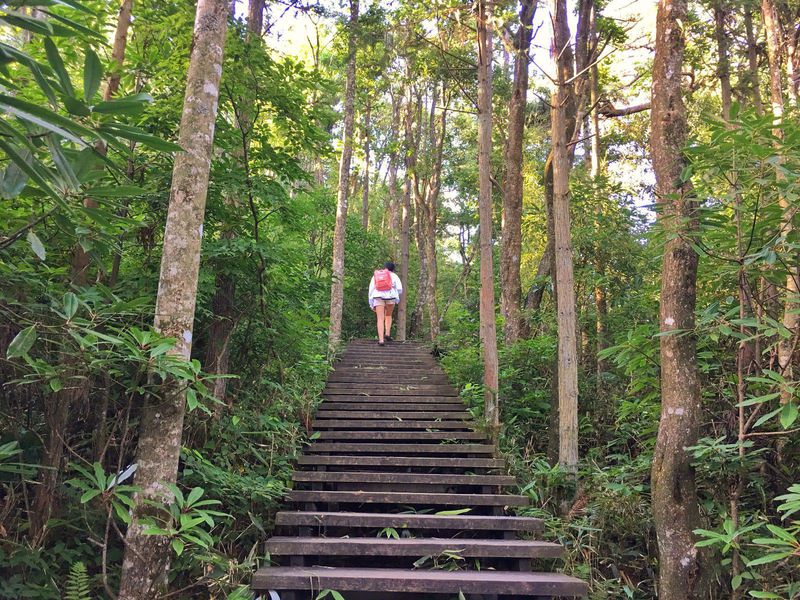 一场说走就走暑假旅行,一场说走就走的旅行来了