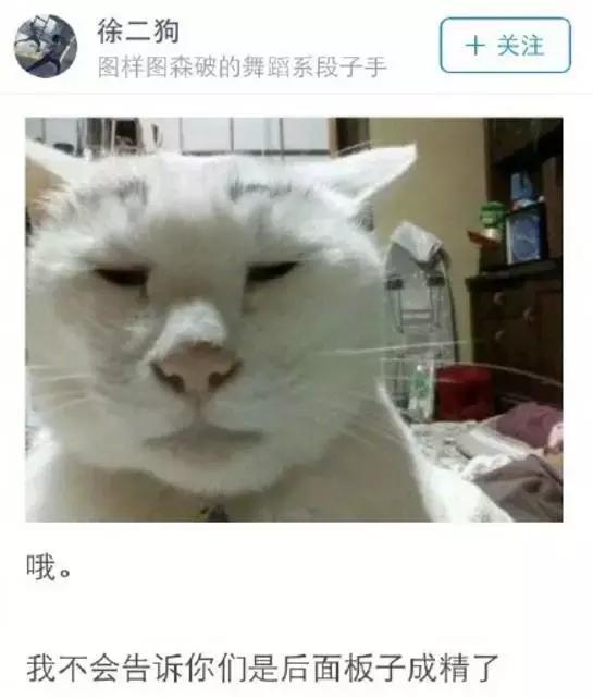 给流浪猫割双眼皮,成都流浪猫手术