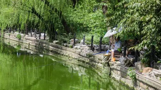 高温下的上海城市,上海40度以上高温