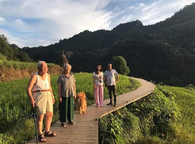 一对夫妻，在《阿凡达》的取景地，改造老宅，收获了完美的人生