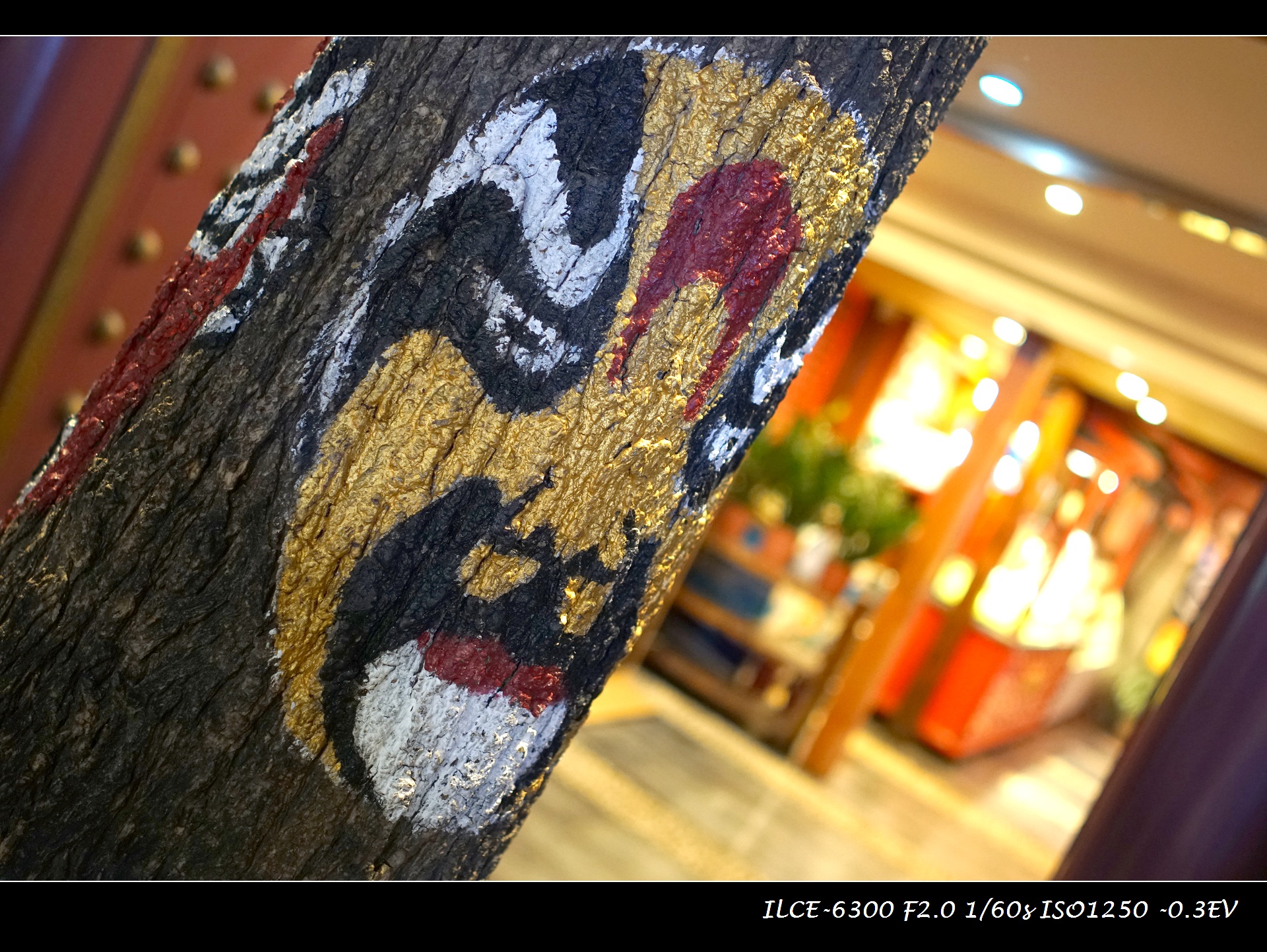 索尼微单a6000和a6300,索尼a6300微单摄影入门教程