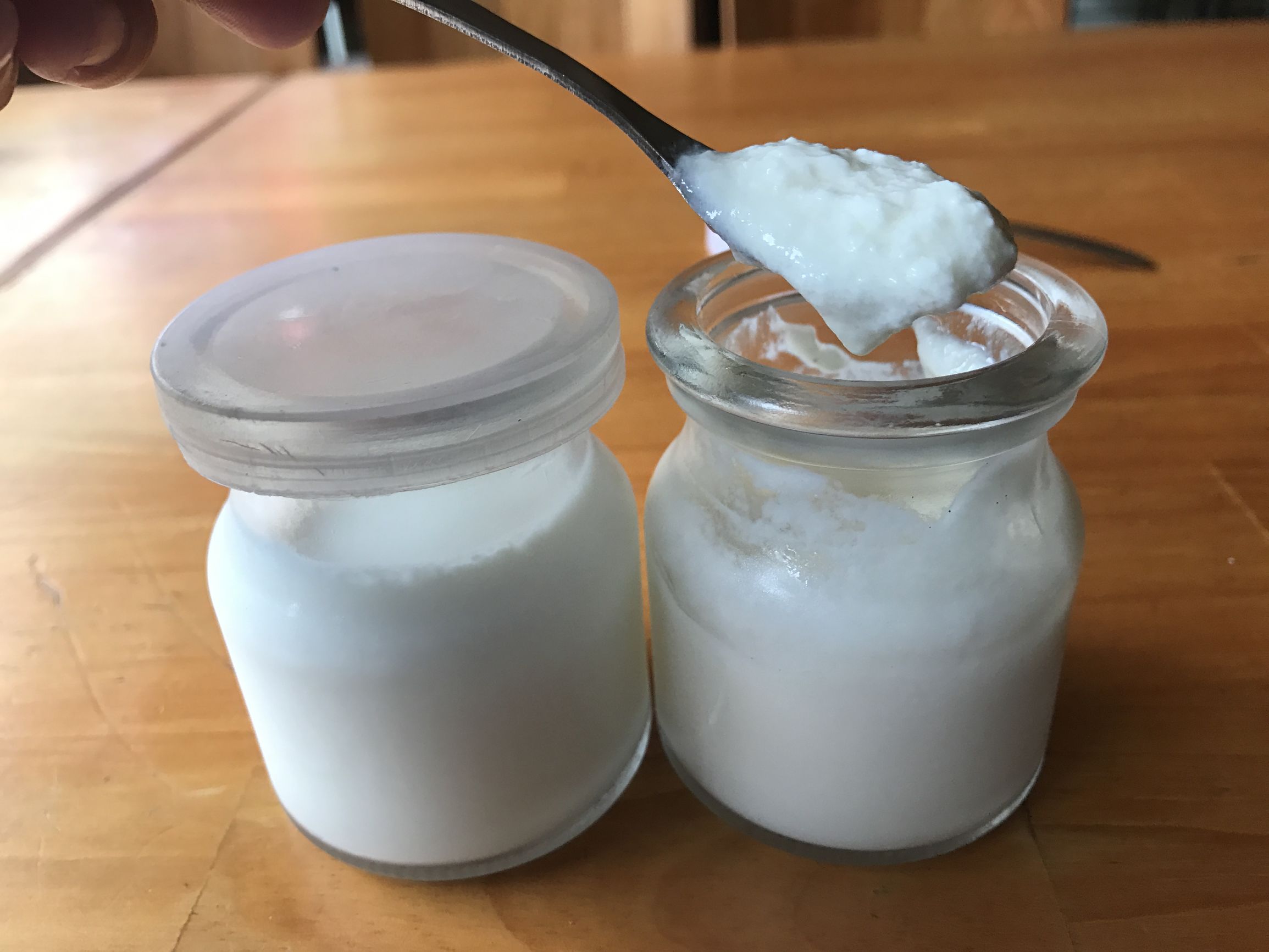 我的越南旅行记,我的芽庄之行全集