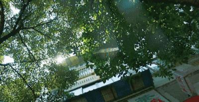 成都四中美食,成都四中视频