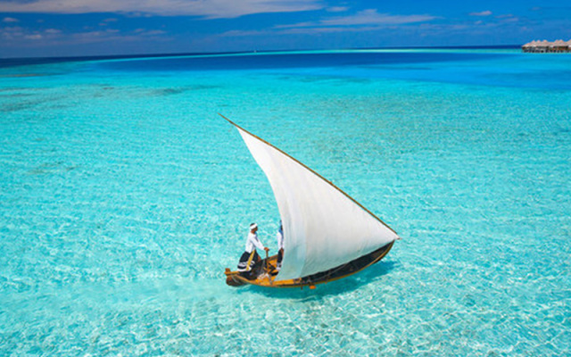 每天的出行安排丰富多彩,每天的行程都很规律