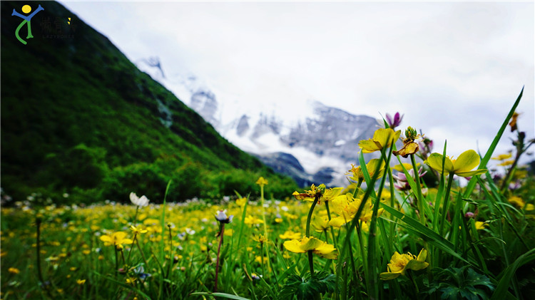 稻城亚丁几月份去最合适,稻城亚丁几月份去适合