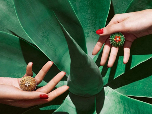 唐晶戴的饰品 (唐晶首饰)